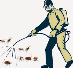 Bảng Giá Phun Thuốc Diệt Muỗi Của Công Ty Pest Control (2)